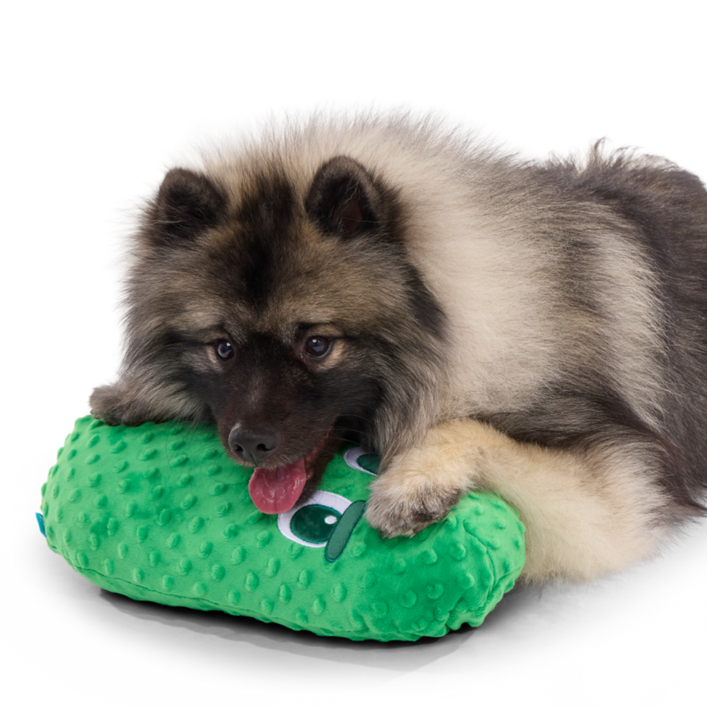 Big Dill Bill Plush Extra-Large + Tug Dog Toy