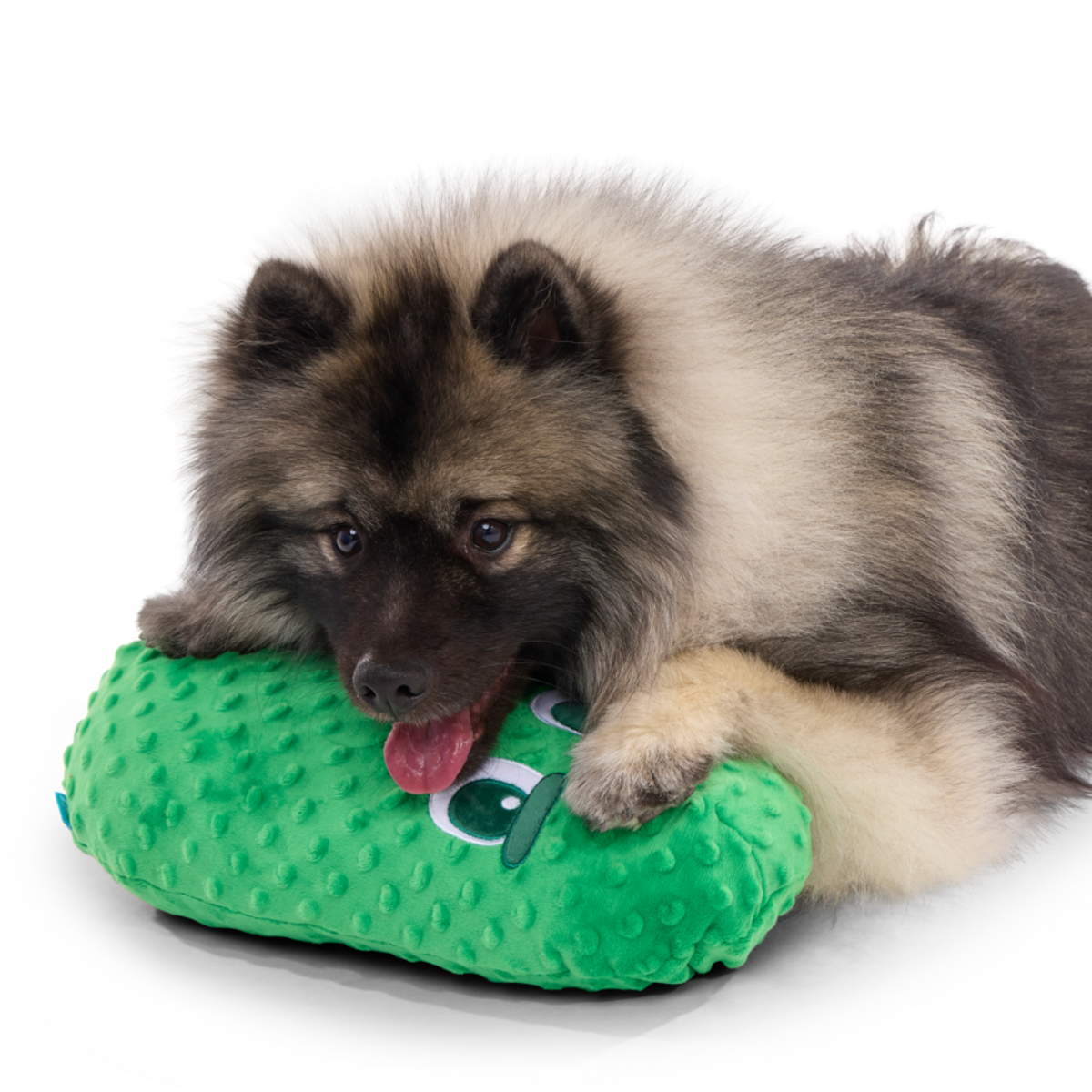 Big Dill Bill Plush Extra-Large + Tug Dog Toy