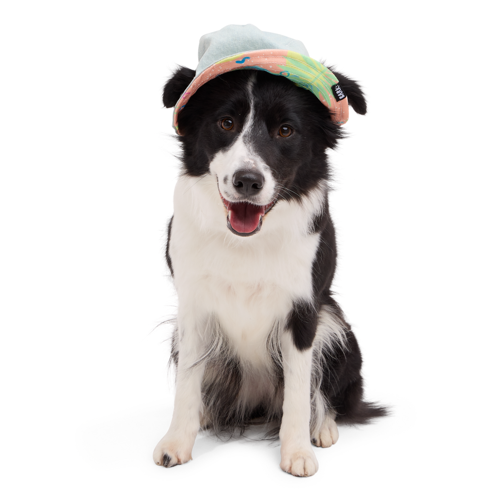 Summertime Reversible Bucket Dog Hat