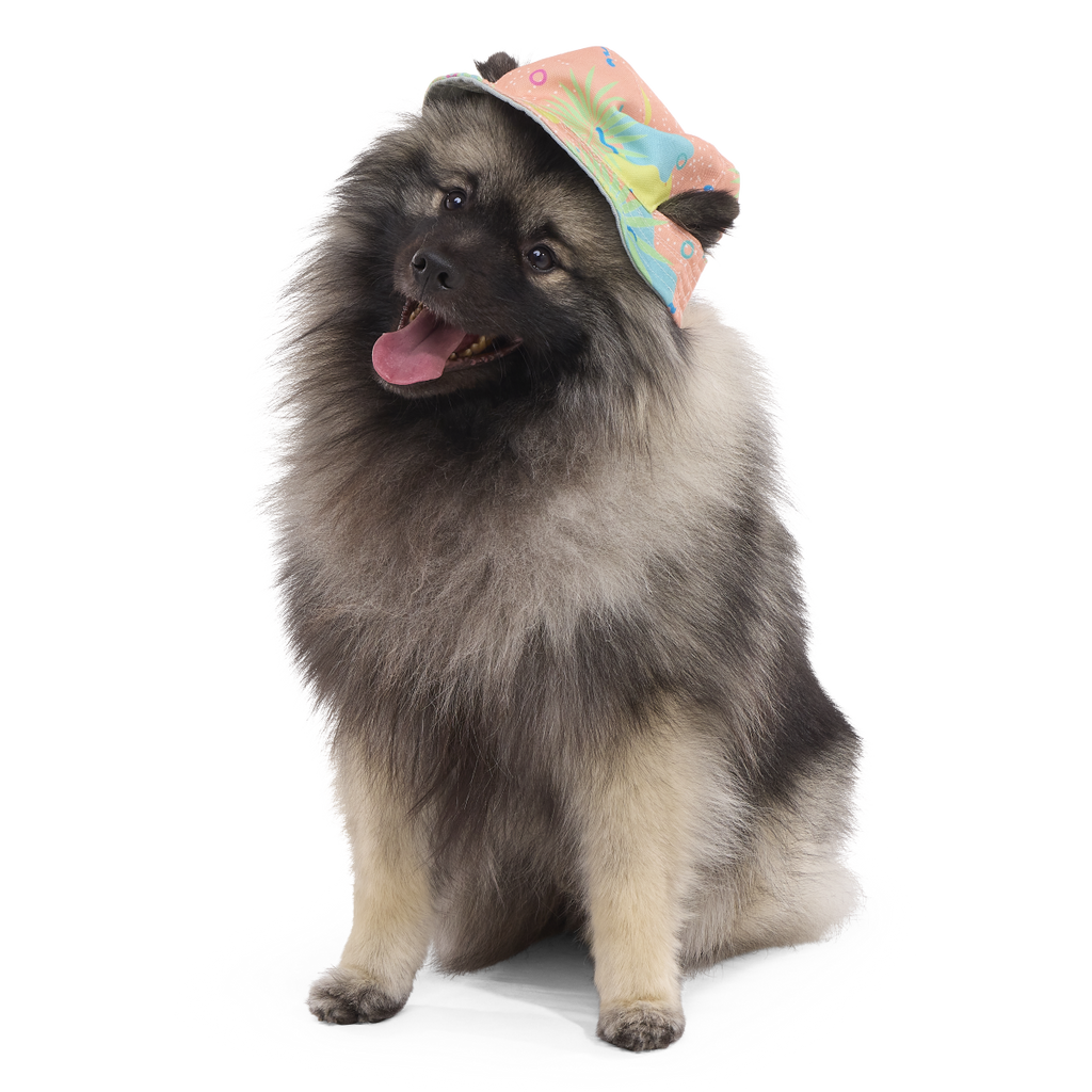 Summertime Reversible Bucket Dog Hat