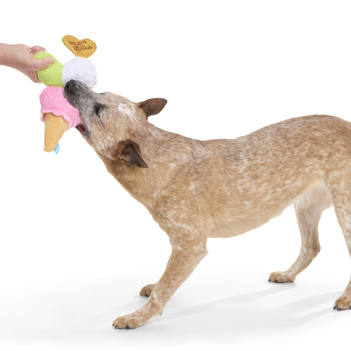 D'oggo Gelato Plush Tug Dog Toy