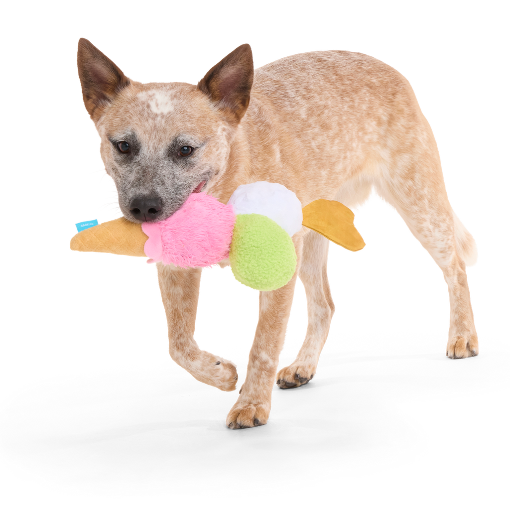 D'oggo Gelato Plush Tug Dog Toy
