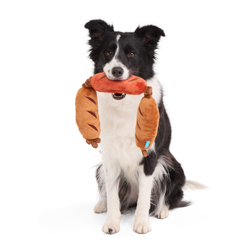 Lickin’ Links Plush Tug Dog Toy