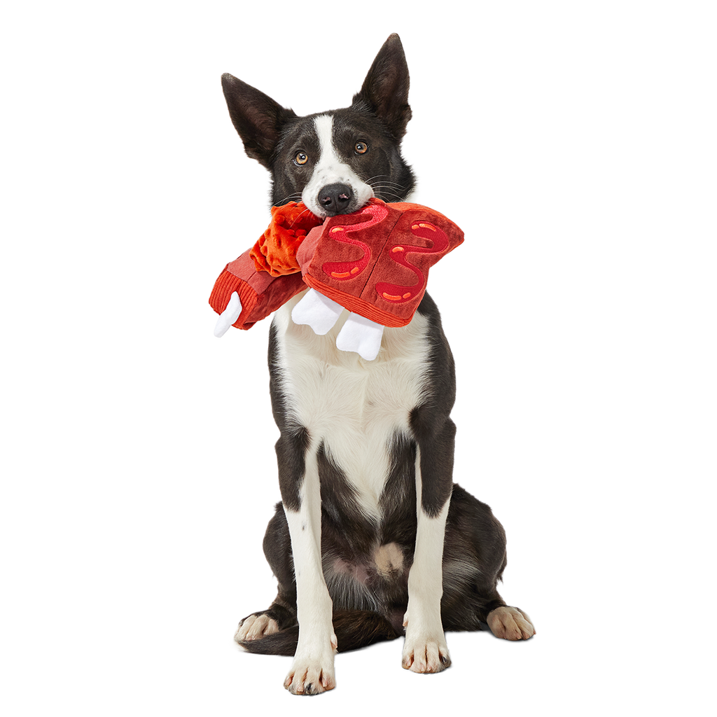 Baby Bark Ribs Plush Tug Dog Toy