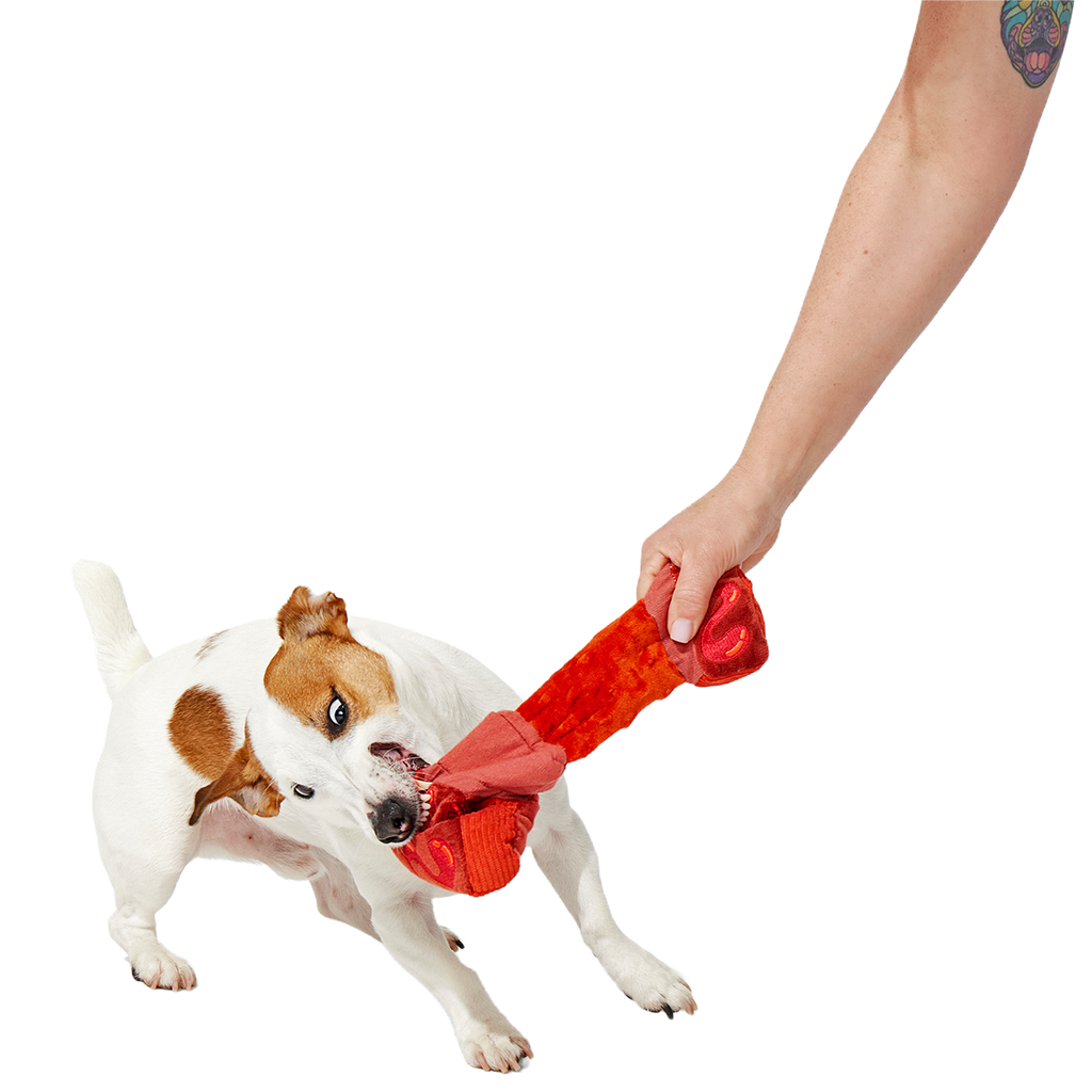 Baby Bark Ribs Plush Tug Dog Toy