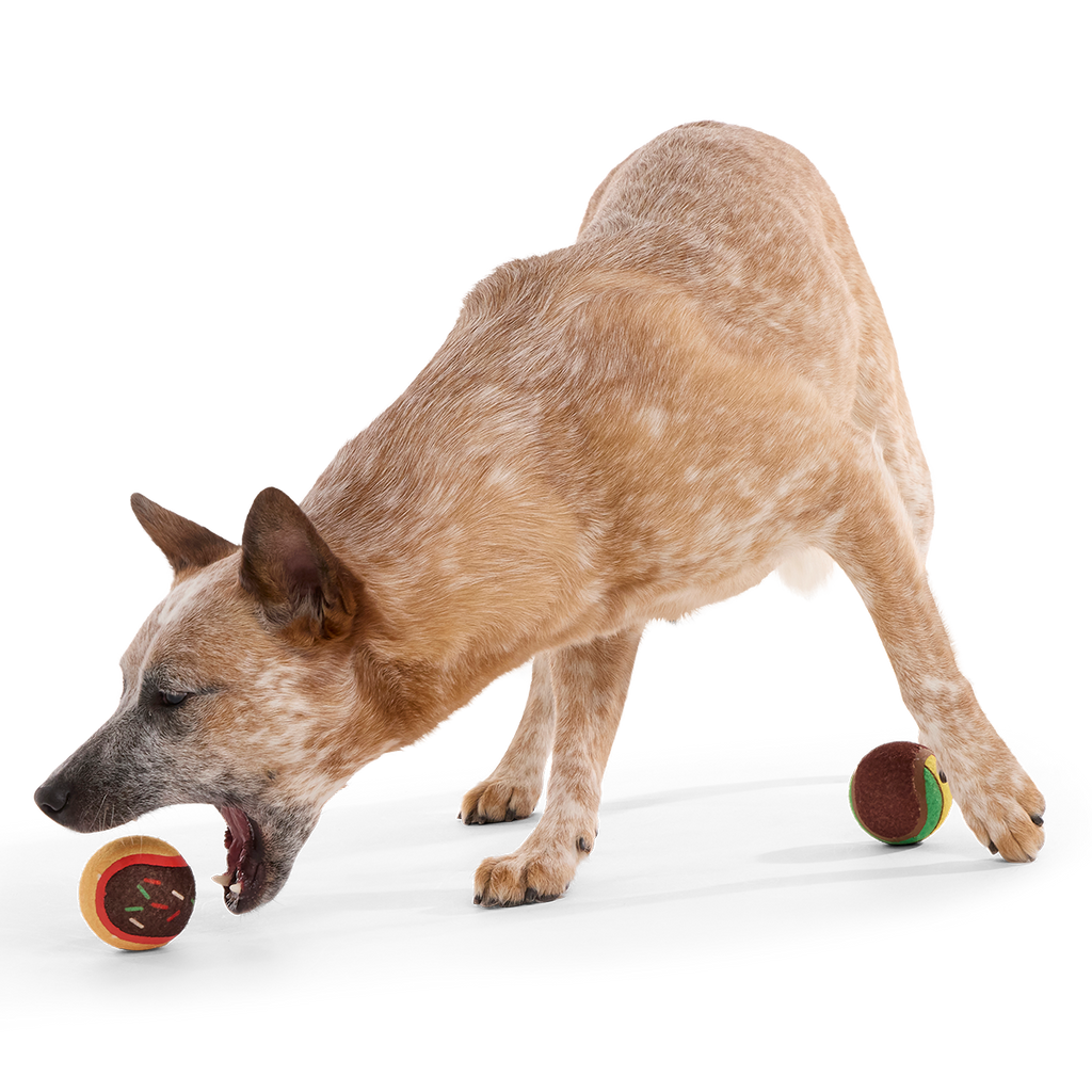 Ballscoti Cookies Plush Multi-Part Fetch Dog Toy