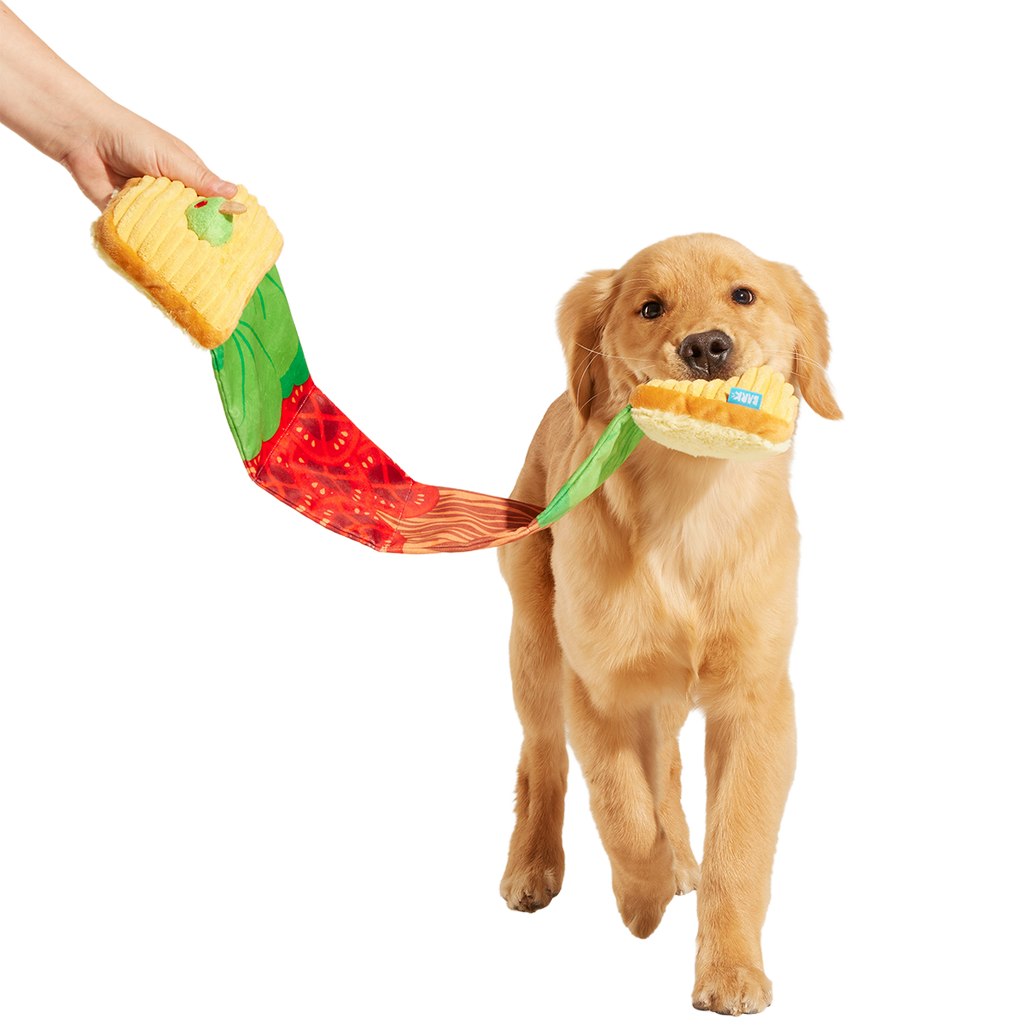Barkin, Lettuce & Tomutto Plush Tug Dog Toy
