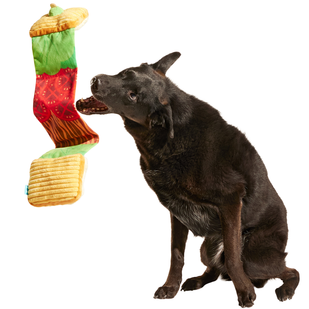 Barkin, Lettuce & Tomutto Plush Tug Dog Toy