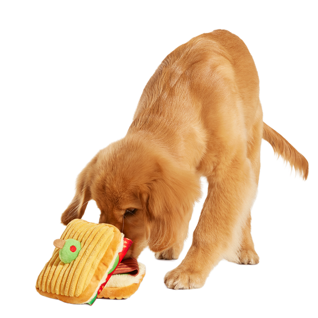 Barkin, Lettuce & Tomutto Plush Tug Dog Toy