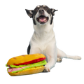 Big Bite Hoagie Plush Extra-Large + Tug Dog Toy