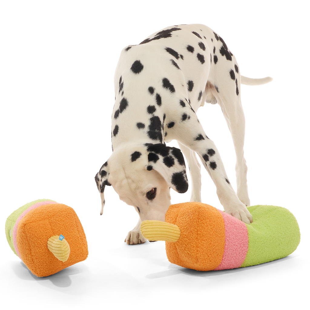 Big Ice Pop Plush Extra-Large + Tug Dog Toy