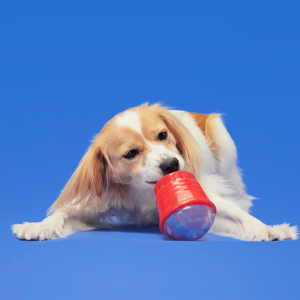 Blue Ruffberry Puppy Slushie Super Chewer Durable Engagement Dog Toy