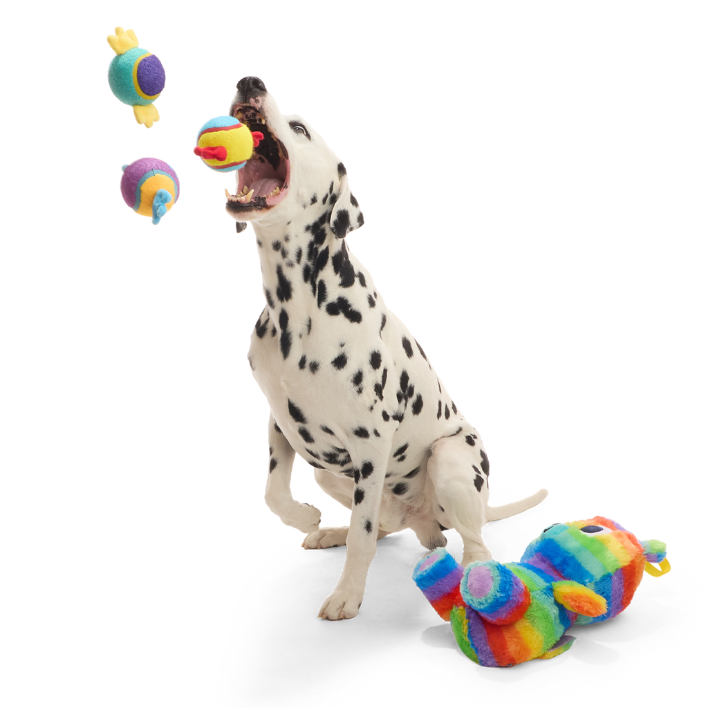 Buster the Piñata Plush Extra-Large + Multi-Part + Fetch Dog Toy