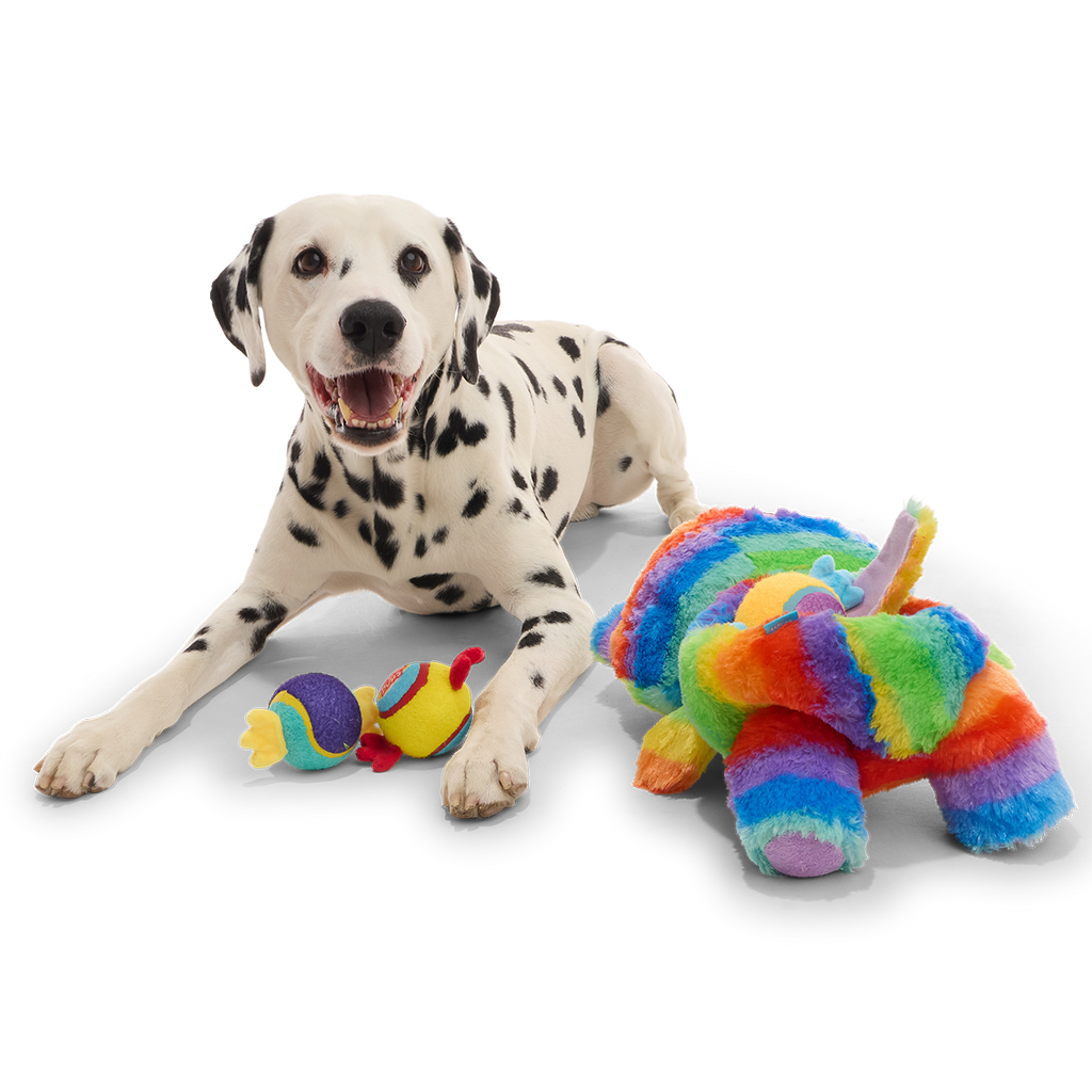 Buster the Piñata Plush Extra-Large + Multi-Part + Fetch Dog Toy