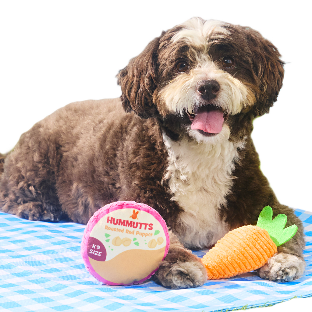 Carrot & Hummutts Plush Multi-Part Dog Toy