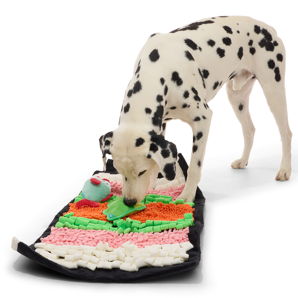 Chewshi Roll Snuffle Mat Plush Extra-Large + Multi-Part + Enrichment Dog Toy