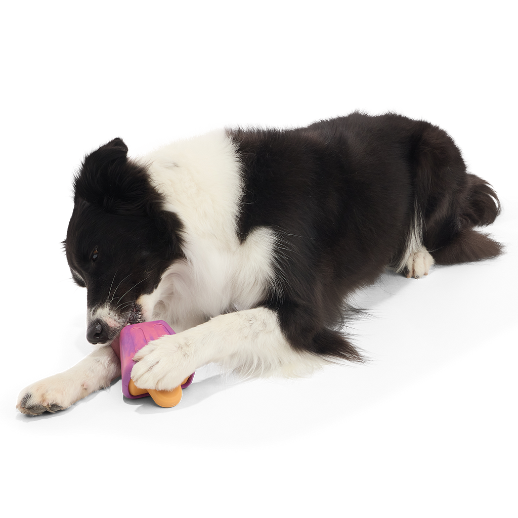 Chill N' Chomp Ice Pop Kit Super Chewer Durable Enrichment Dog Toy