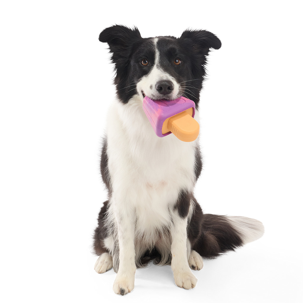 Chill N' Chomp Ice Pop Kit Super Chewer Durable Enrichment Dog Toy