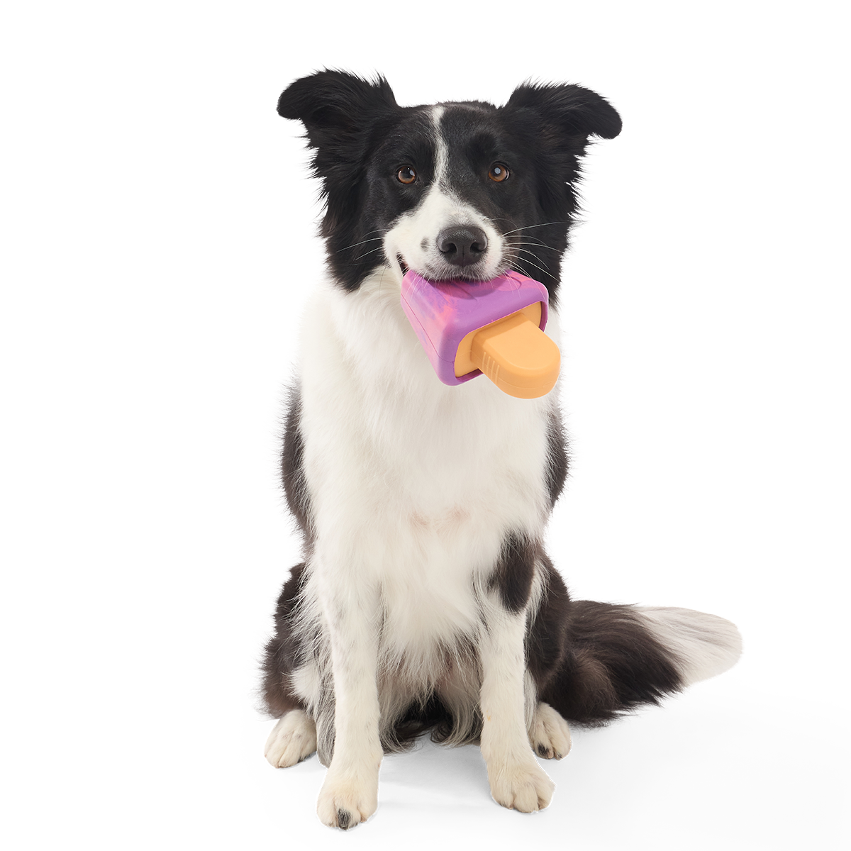 Chill N' Chomp Ice Pop Kit Super Chewer Durable Enrichment Dog Toy