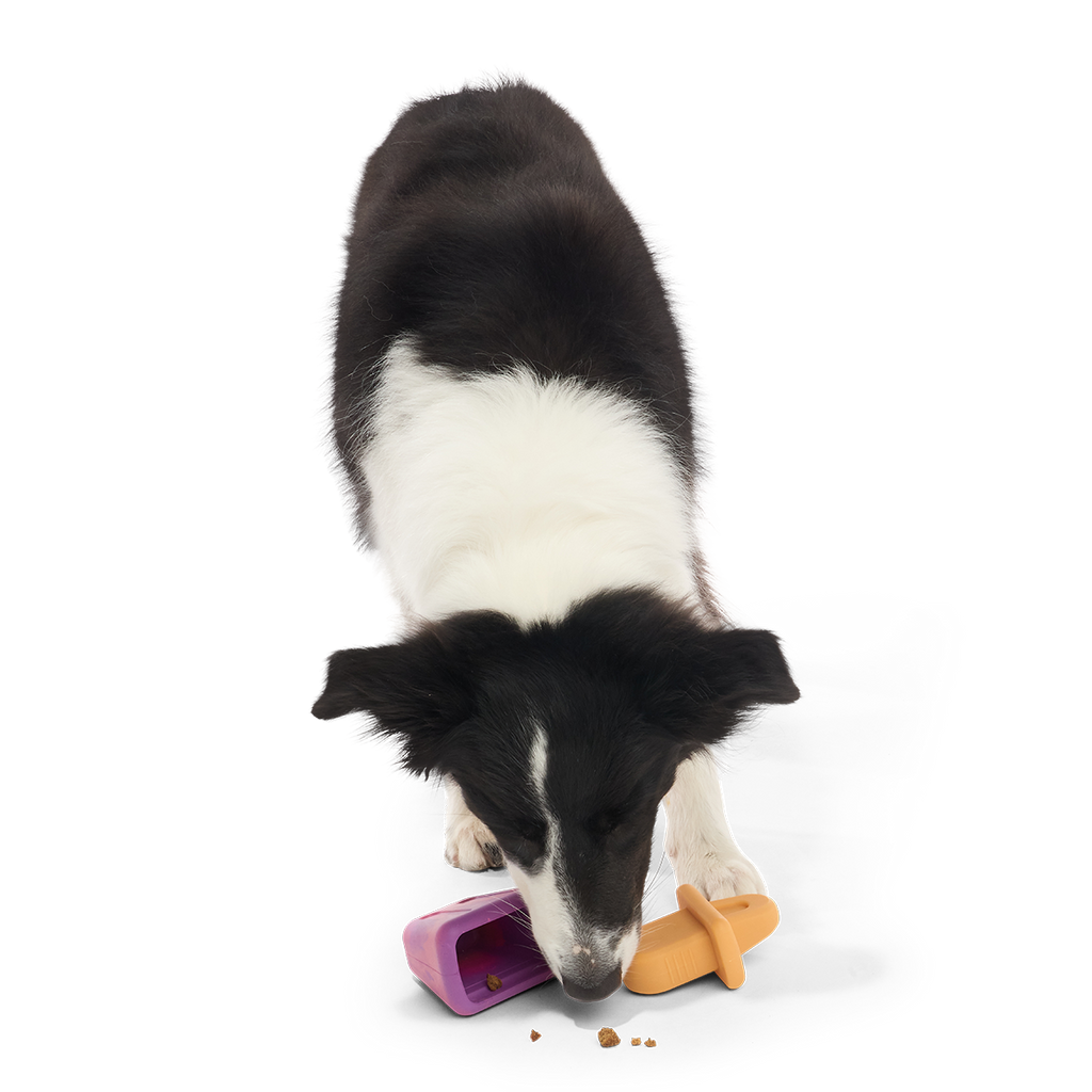Chill N' Chomp Ice Pop Kit Super Chewer Durable Enrichment Dog Toy