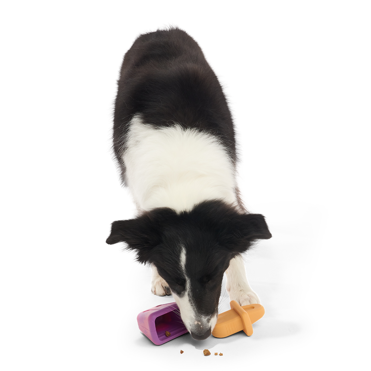 Chill N' Chomp Ice Pop Kit Super Chewer Durable Enrichment Dog Toy
