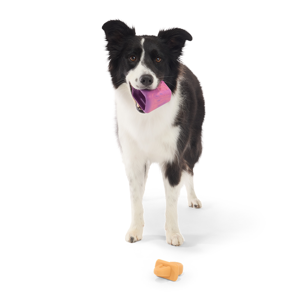 Chill N' Chomp Ice Pop Kit Super Chewer Durable Enrichment Dog Toy