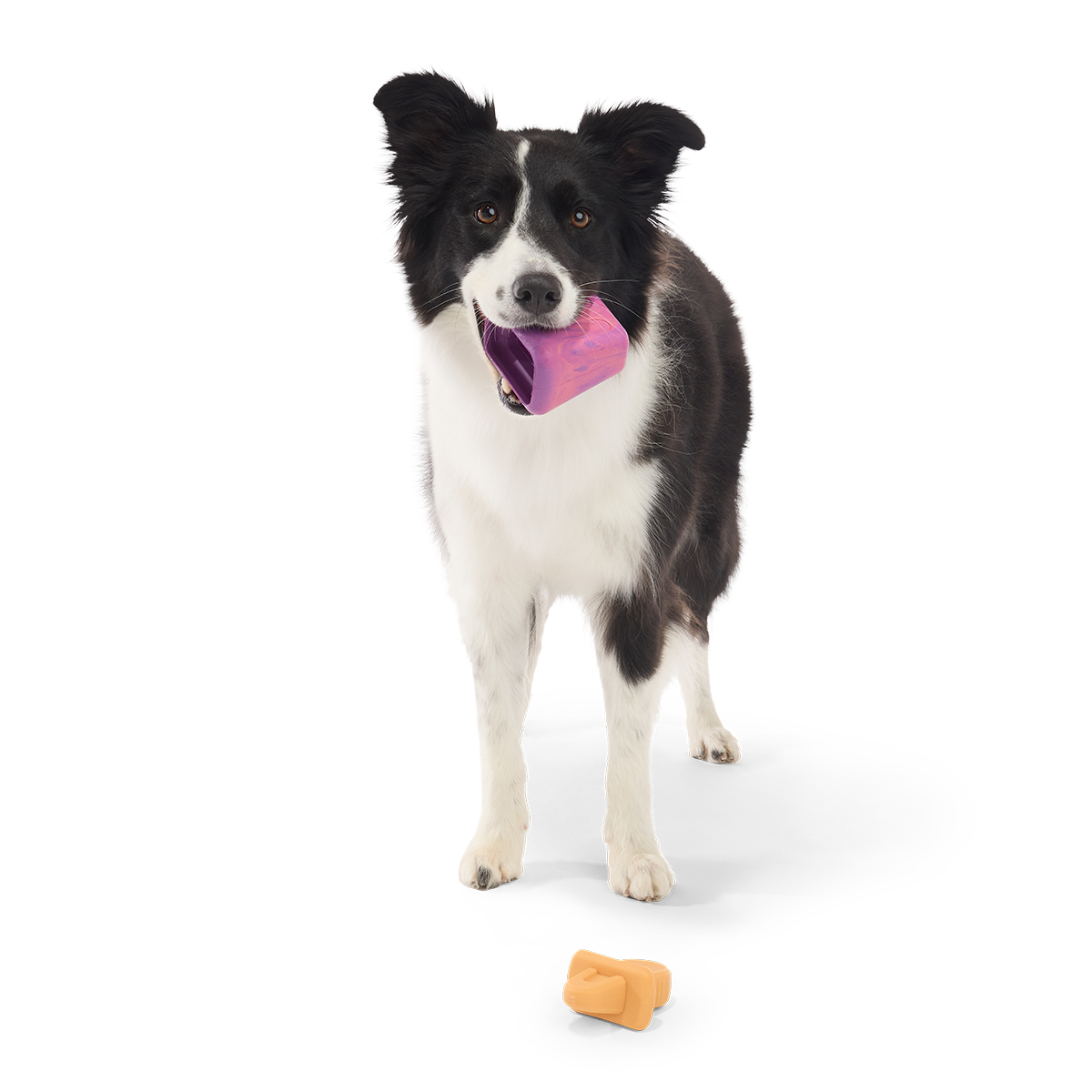 Chill N' Chomp Ice Pop Kit Super Chewer Durable Enrichment Dog Toy