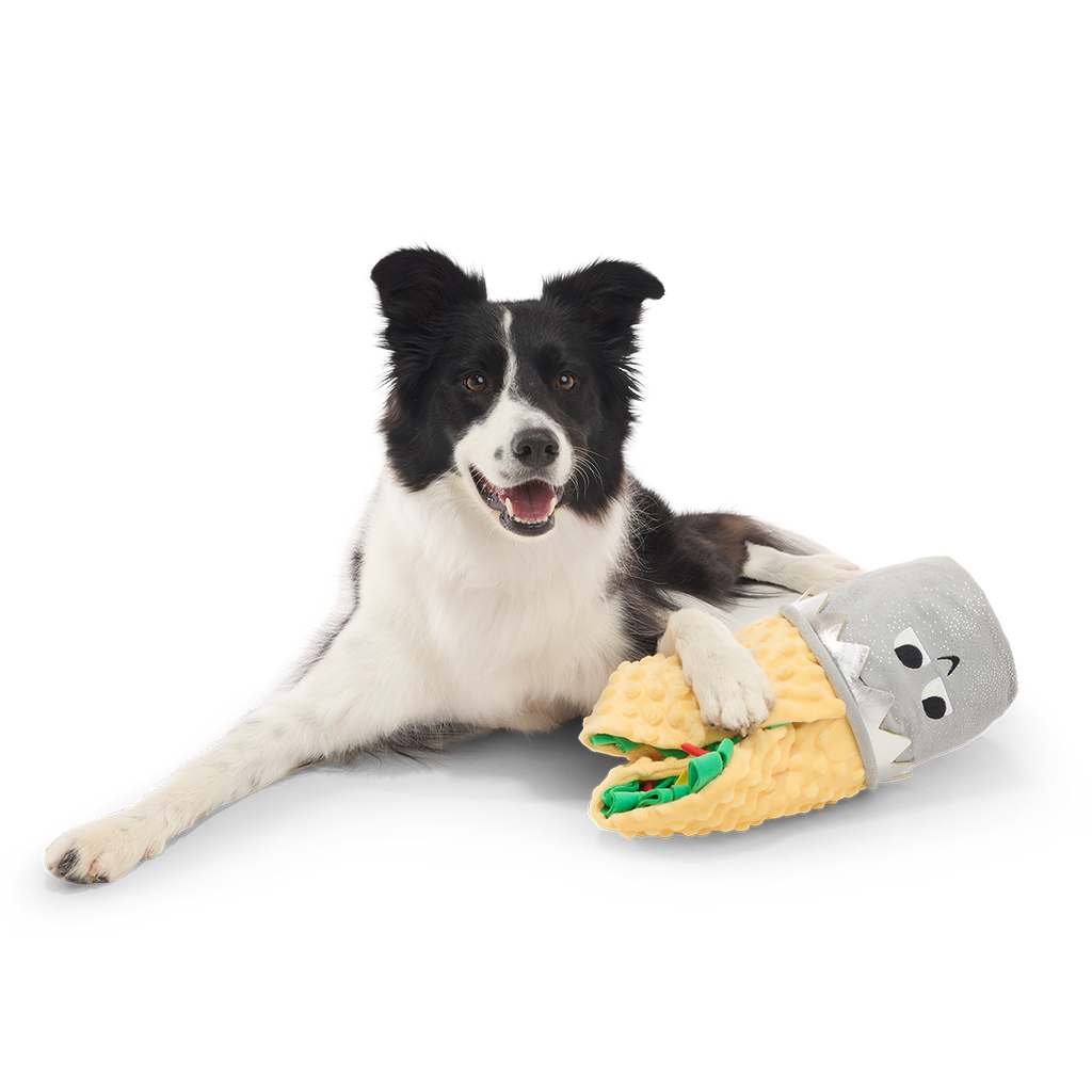 Extra-Snuffed Burrito Plush Extra-Large + Multi-Part + Enrichment Dog Toy