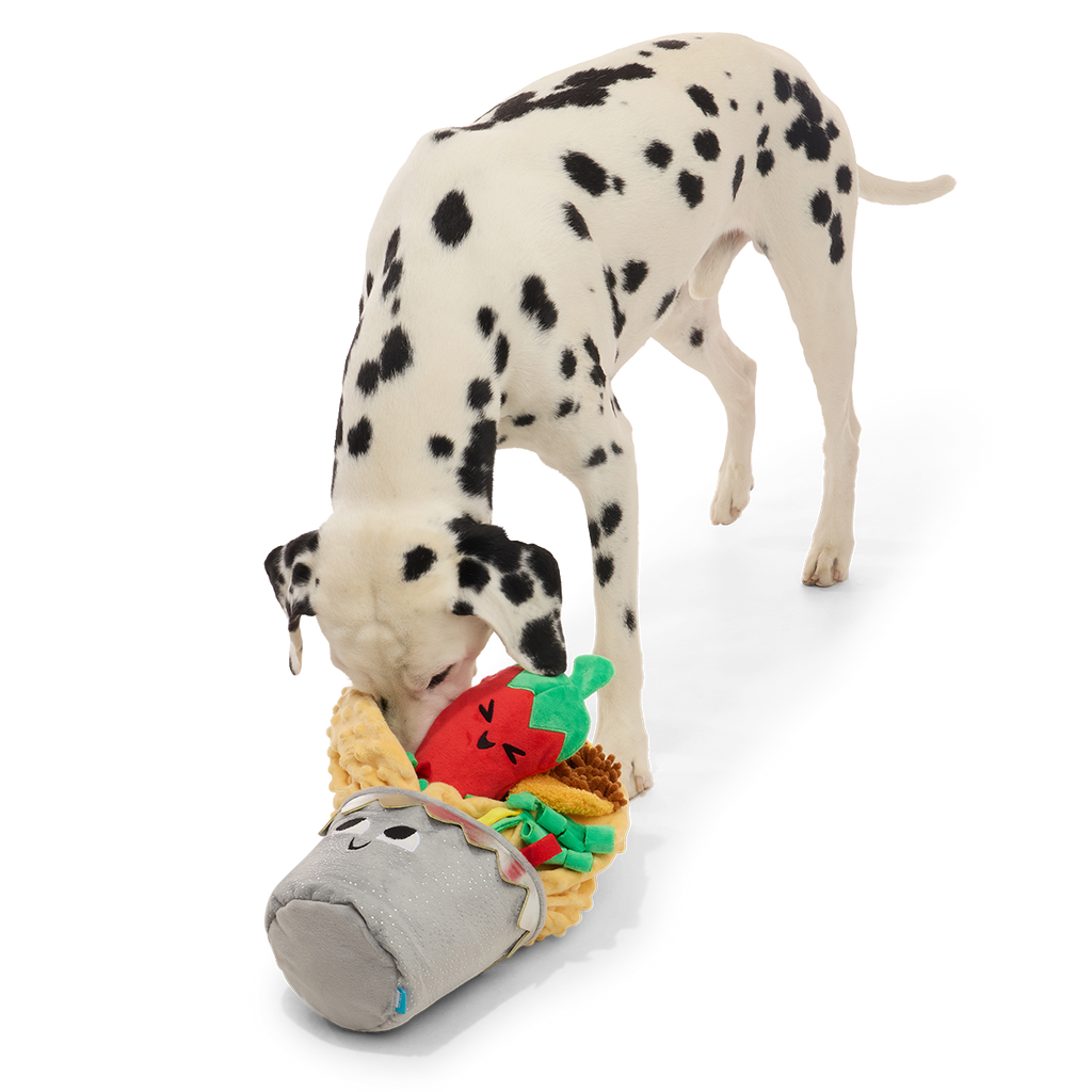 Extra-Snuffed Burrito Plush Extra-Large + Multi-Part + Enrichment Dog Toy