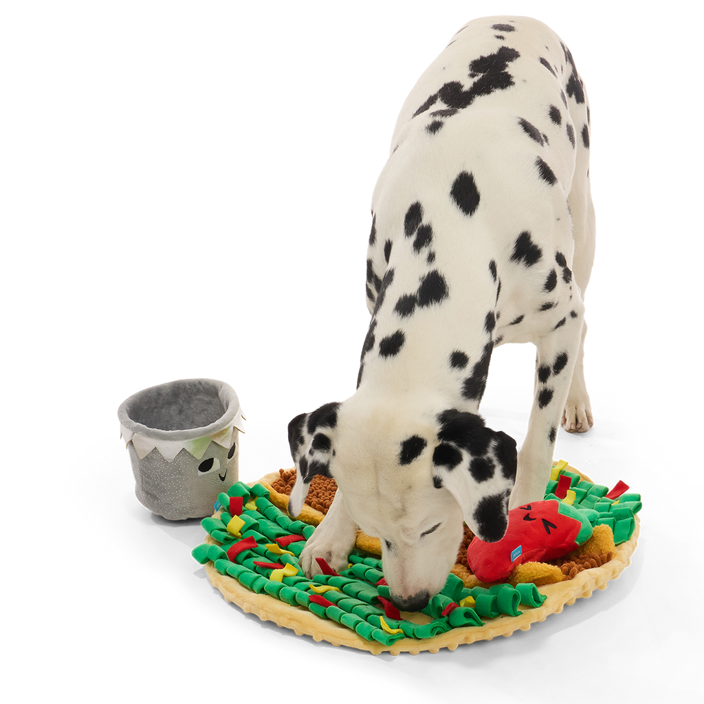 Extra-Snuffed Burrito Plush Extra-Large + Multi-Part + Enrichment Dog Toy