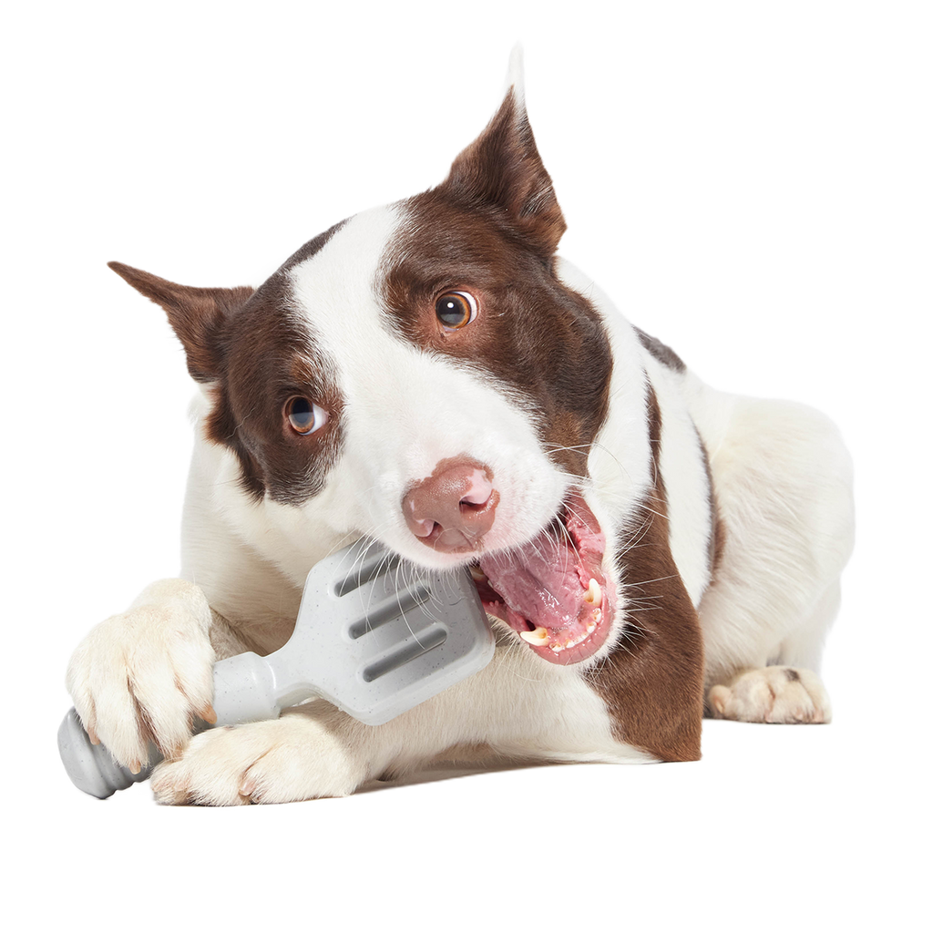 Flip It Good Spatula Super Chewer Durable Gnaw Dog Toy