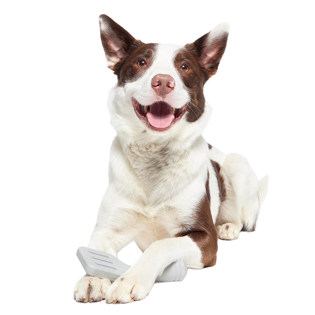 Flip It Good Spatula Super Chewer Durable Gnaw Dog Toy