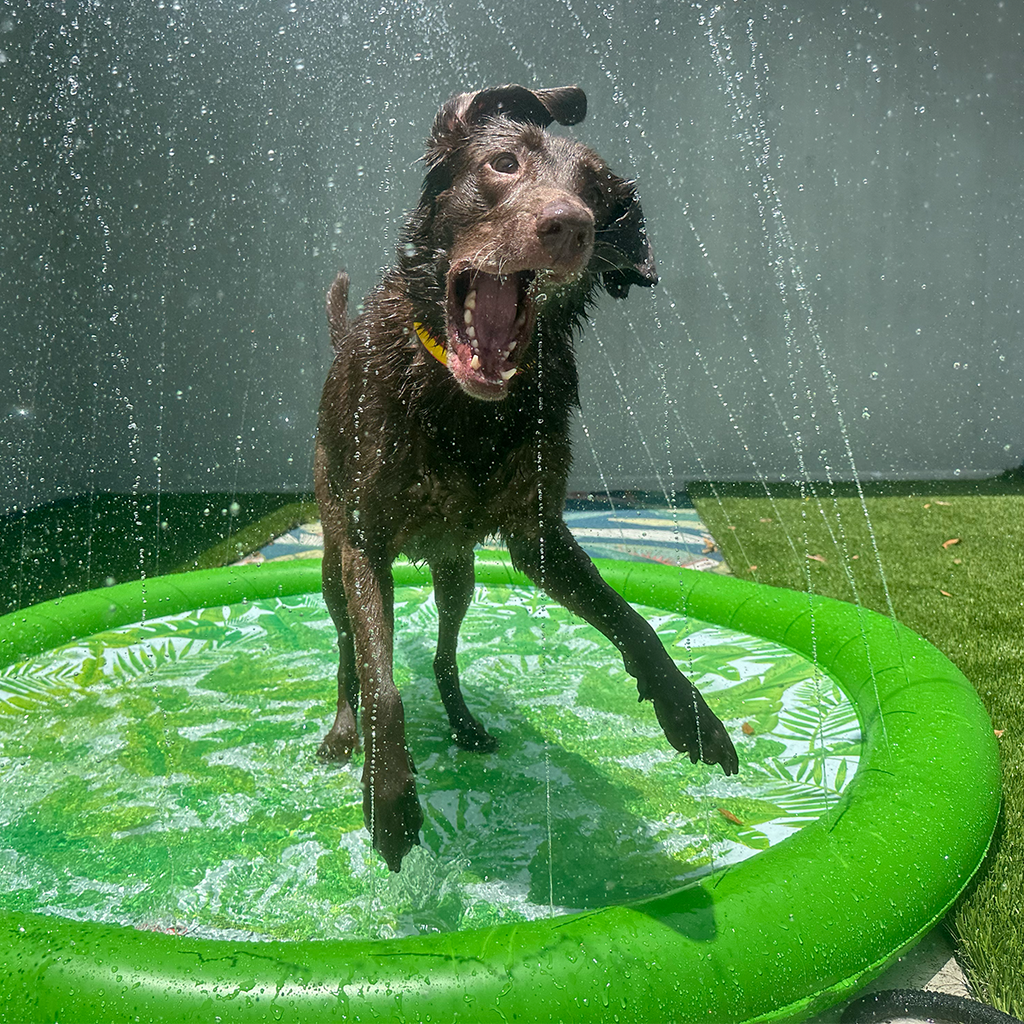 FUNBOY Splash Pad