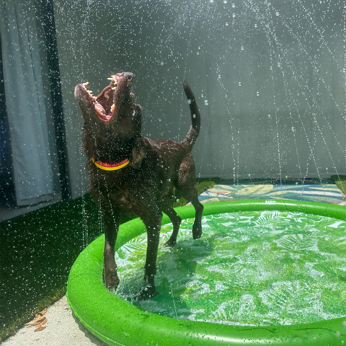 FUNBOY Splash Pad