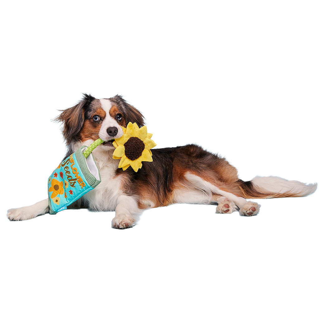 Funflower Seeds Plush Tug Dog Toy