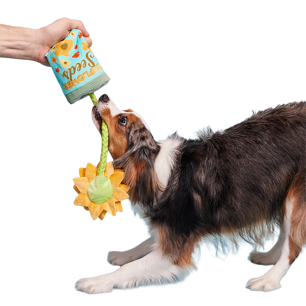 Funflower Seeds Plush Tug Dog Toy