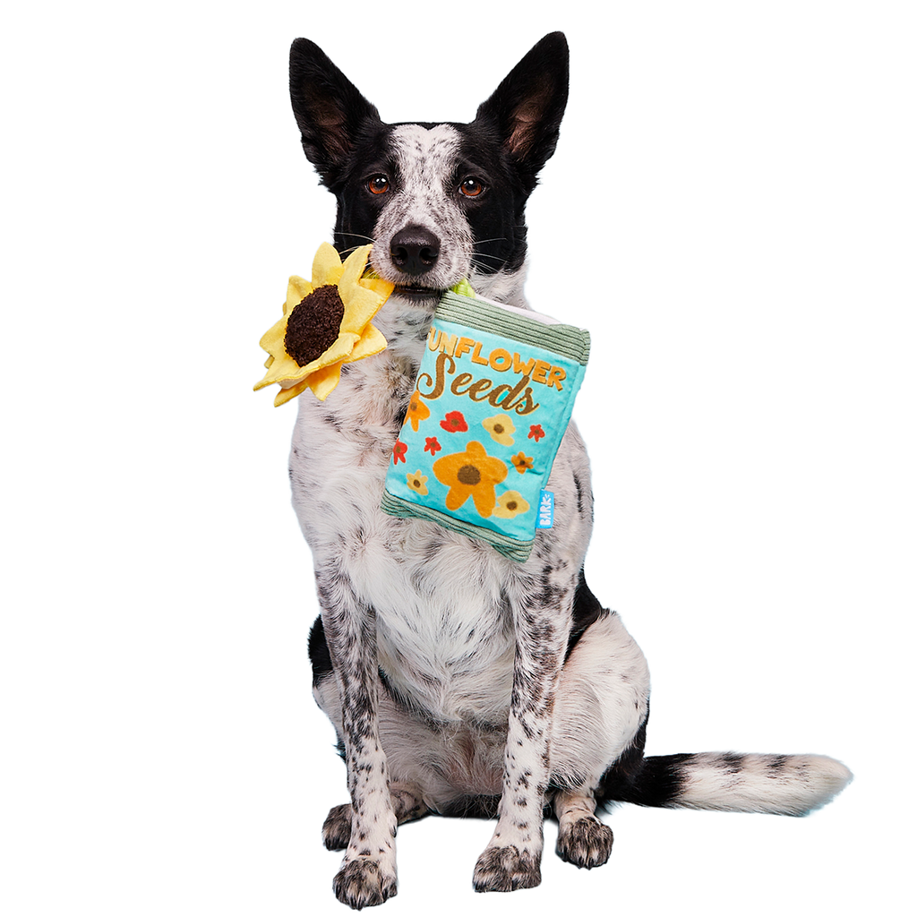Funflower Seeds Plush Tug Dog Toy