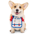 Grrrill Champ Apron Plush Tug + Wearable Dog Toy