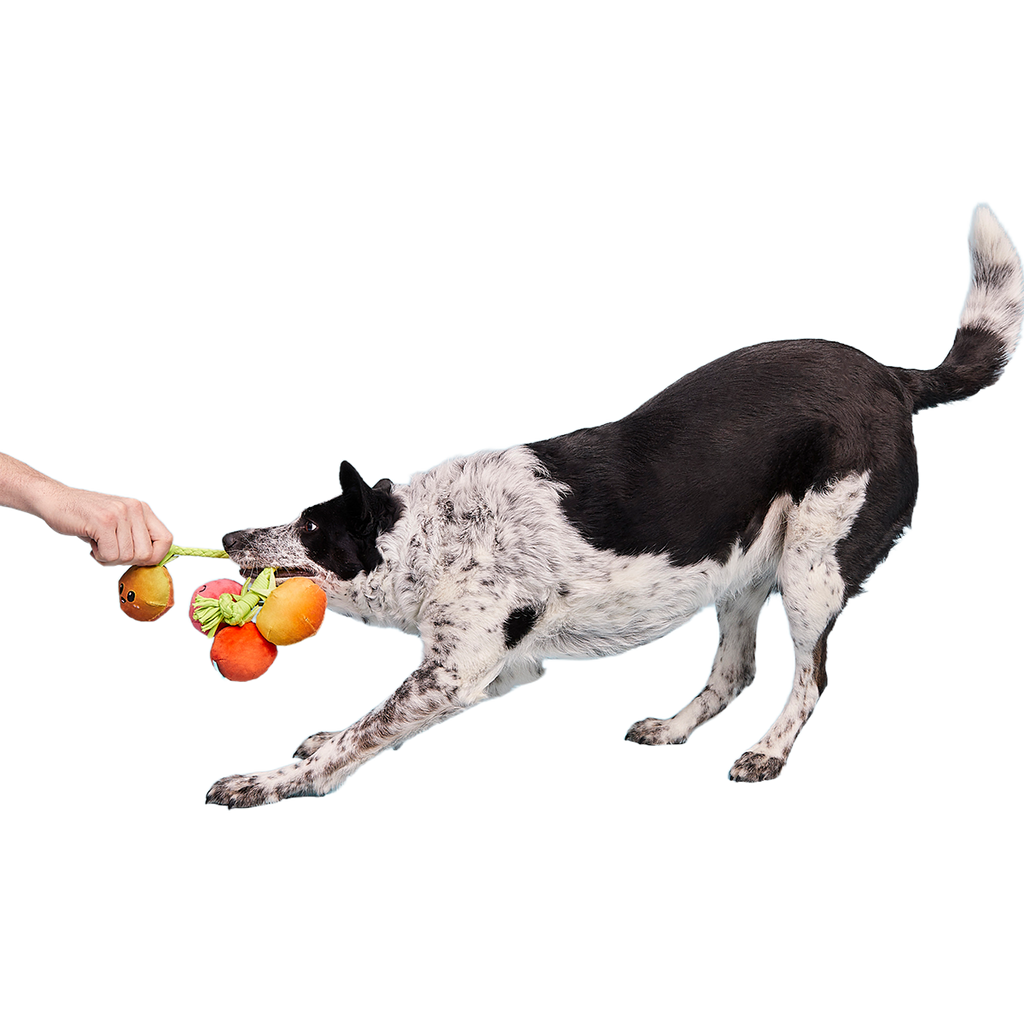 Hairloom Tomatoes Plush Tug Dog Toy