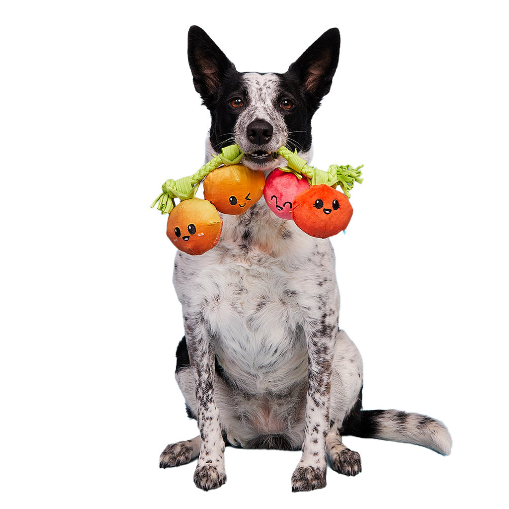 Hairloom Tomatoes Plush Tug Dog Toy