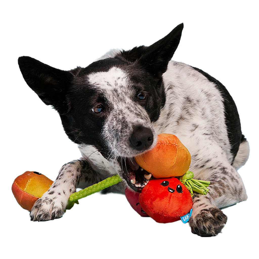 Hairloom Tomatoes Plush Tug Dog Toy