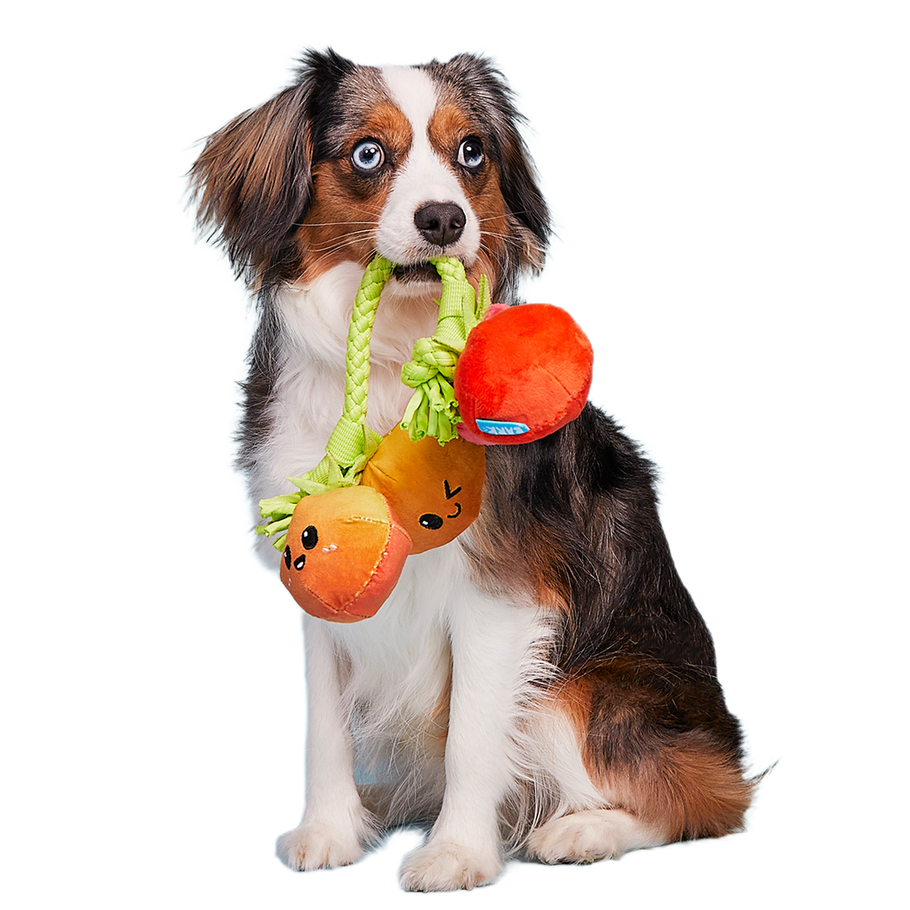 Hairloom Tomatoes Plush Tug Dog Toy