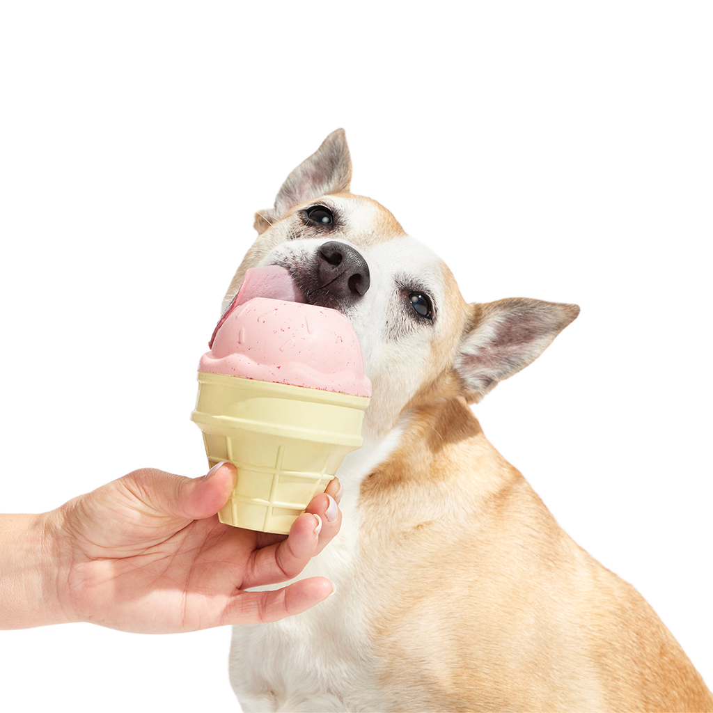 I Squeak Cone Super Chewer Durable Gnaw Dog Toy