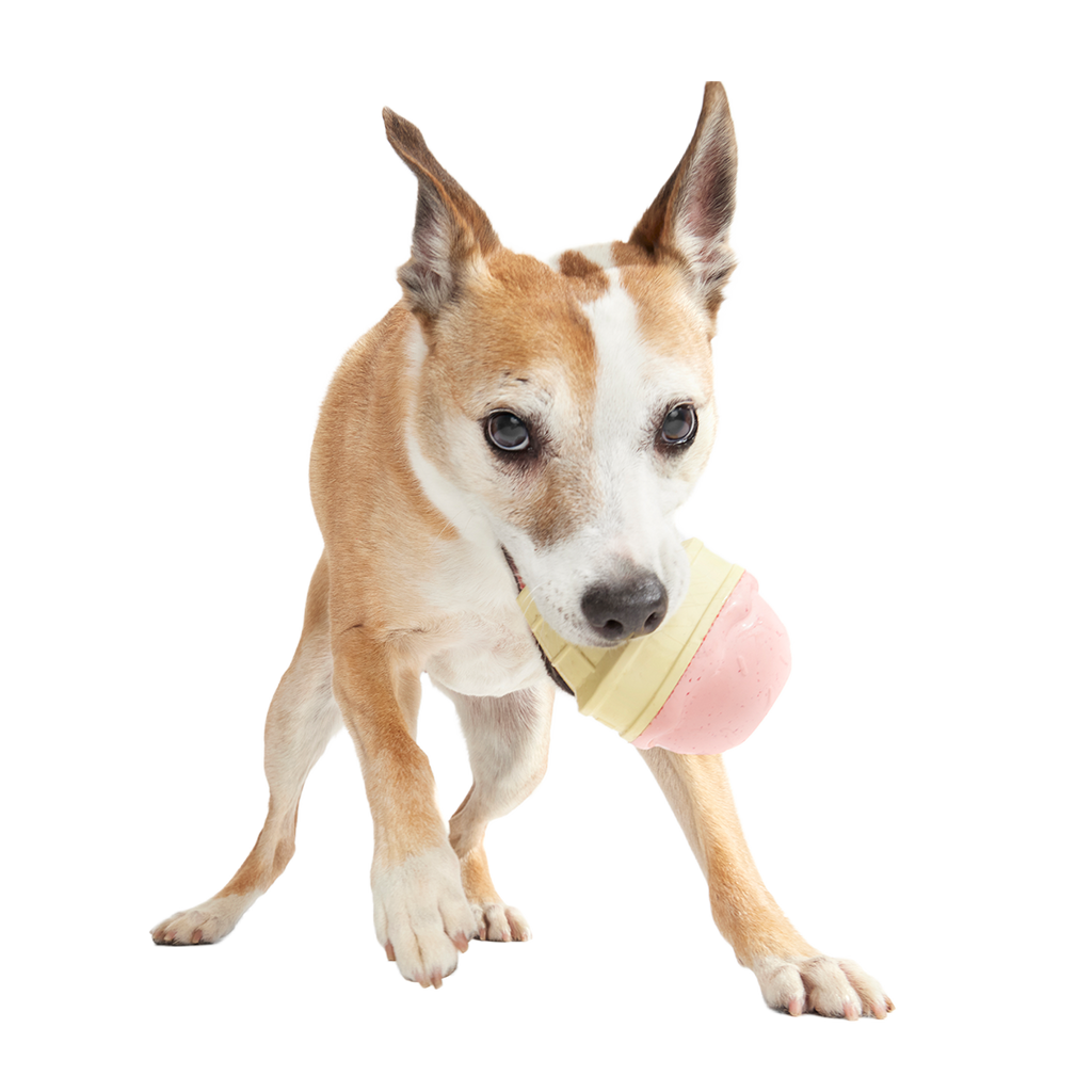 I Squeak Cone Super Chewer Durable Gnaw Dog Toy