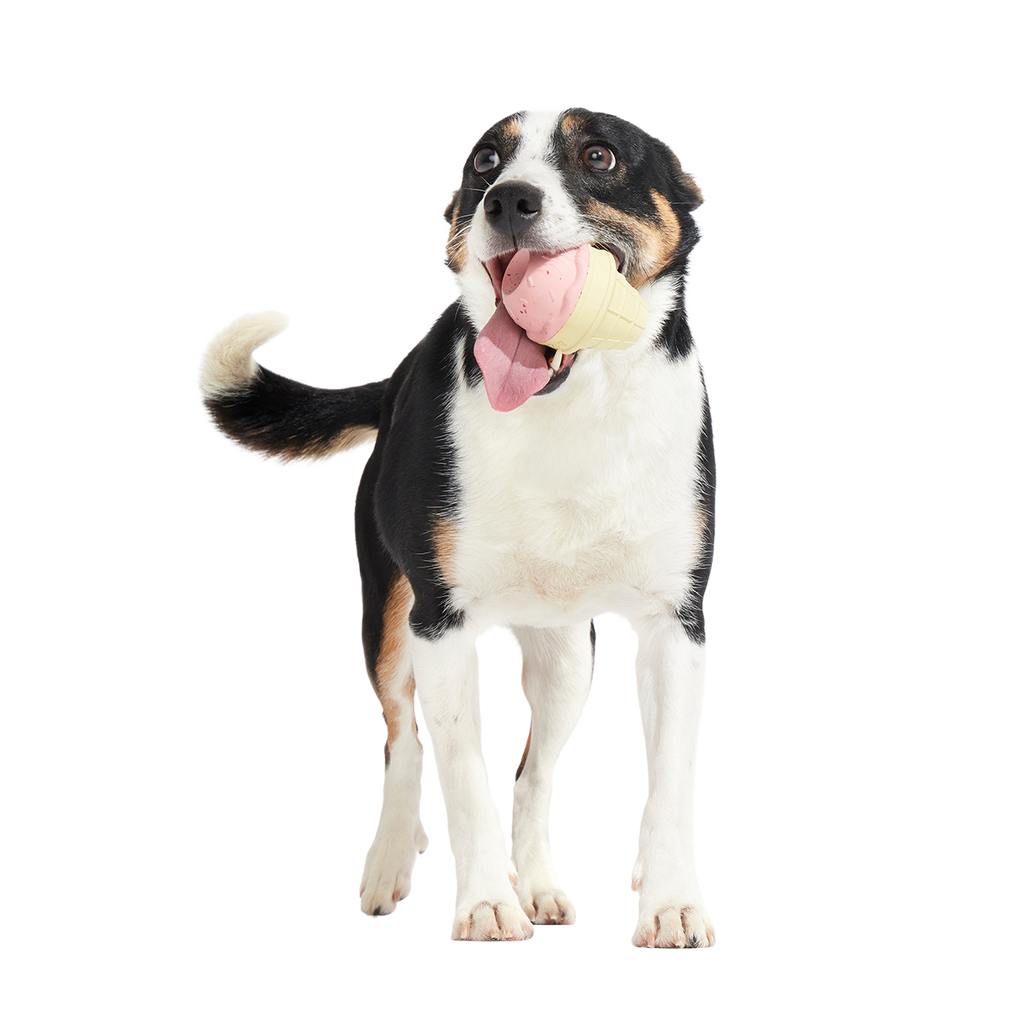 I Squeak Cone Super Chewer Durable Gnaw Dog Toy