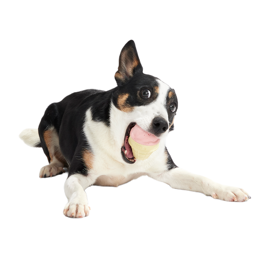 I Squeak Cone Super Chewer Durable Gnaw Dog Toy