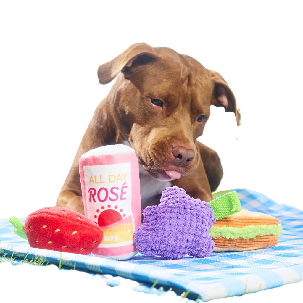 Licknic Pack Plush Multi-Part + Tug Dog Toy