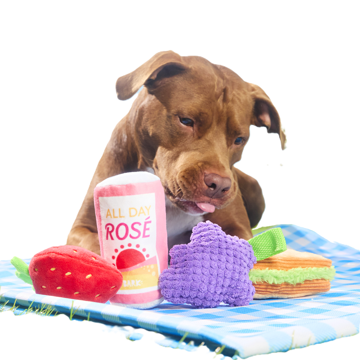 Licknic Pack Plush Multi-Part + Tug Dog Toy