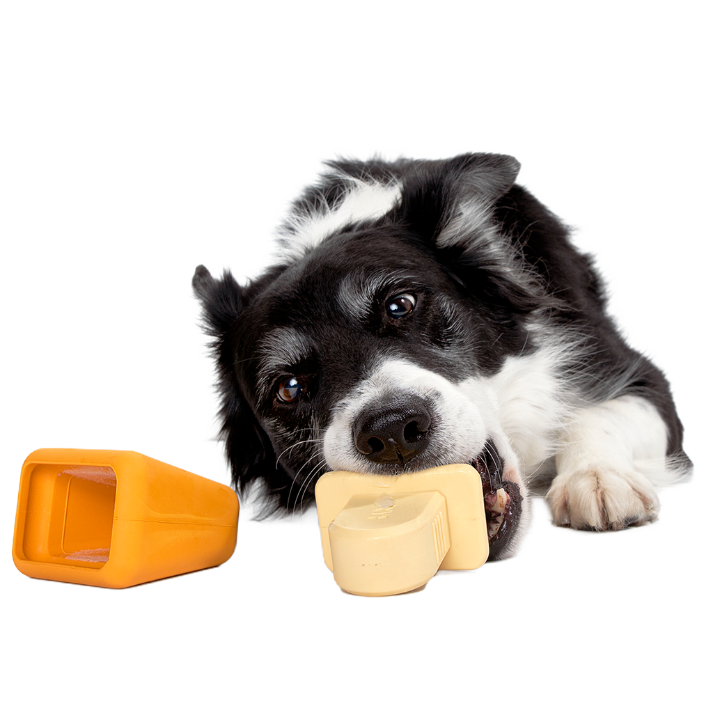 Make n' Munch Ice Pop Kit Super Chewer Durable Multi-Part Dog Toy