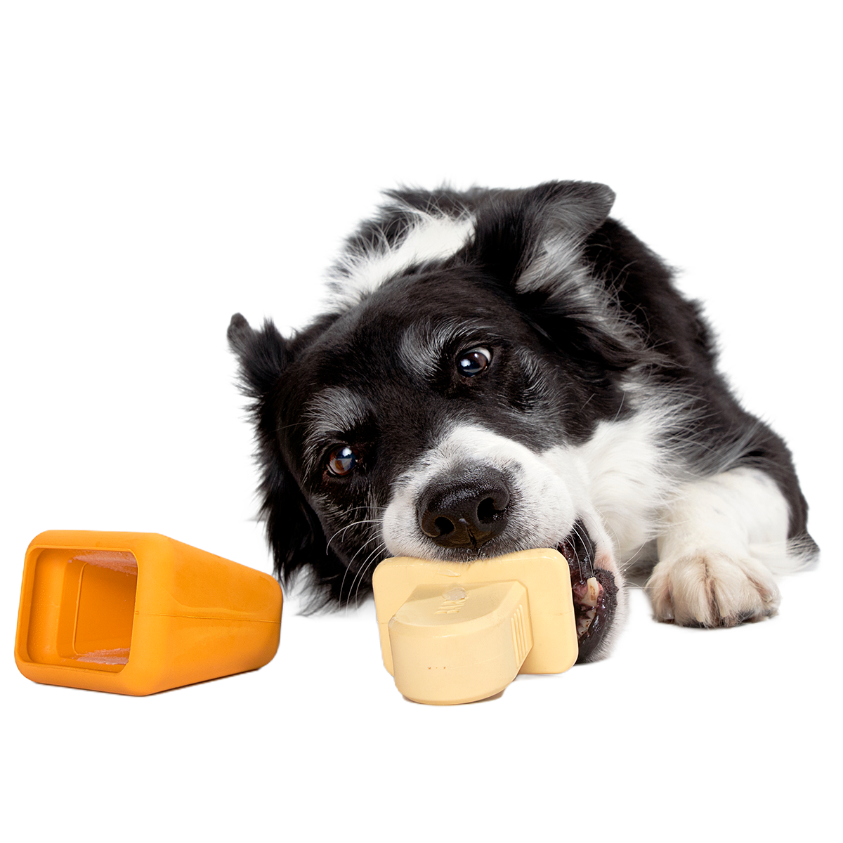 Make n' Munch Ice Pop Kit Super Chewer Durable Multi-Part Dog Toy